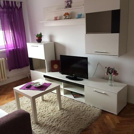 Tami Apartment Nowy Sad Zewnętrze zdjęcie