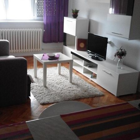Tami Apartment Nowy Sad Zewnętrze zdjęcie