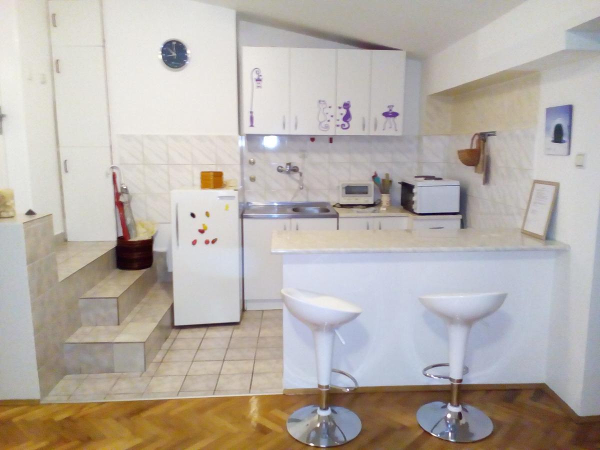 Tami Apartment Nowy Sad Zewnętrze zdjęcie