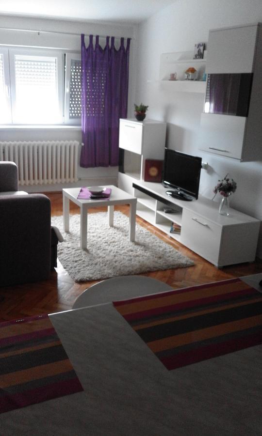 Tami Apartment Nowy Sad Zewnętrze zdjęcie