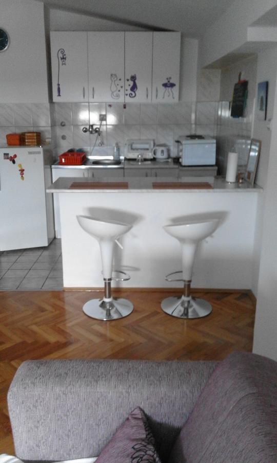 Tami Apartment Nowy Sad Zewnętrze zdjęcie